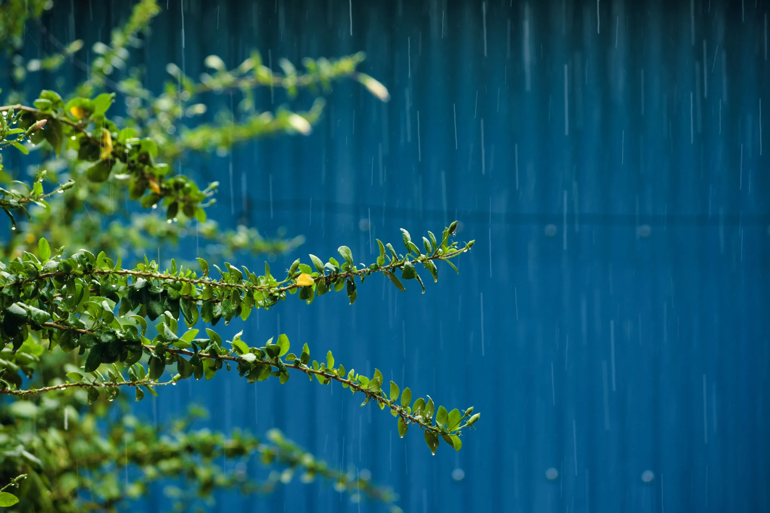 雨樋を放置するとどうなる？外壁・基礎への影響とリスク